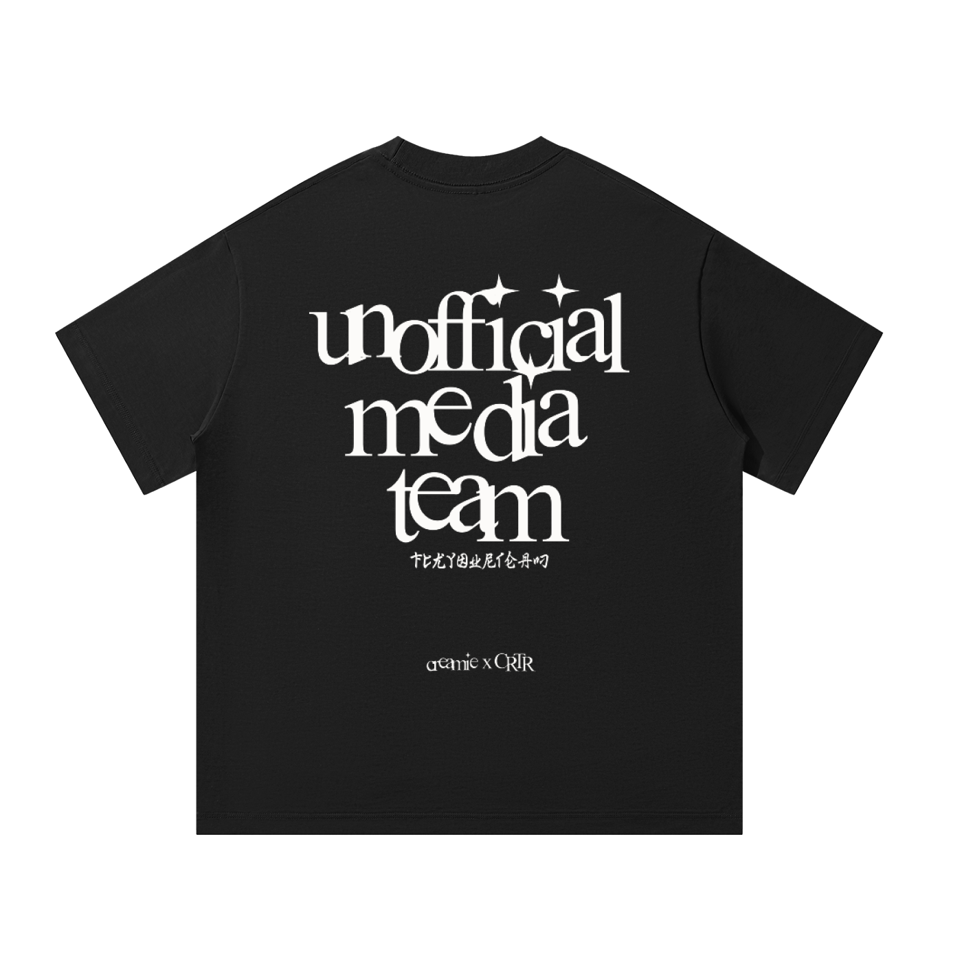 Unofficial media team T-Shirt